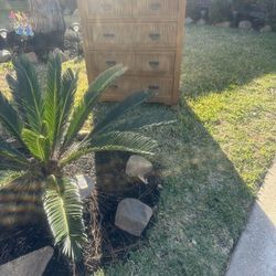 VINTAGE 5 DRAWER PIER 1IMPORTS CHEST/DRESSER (EXCELLENT FOR RESTORATION SOLID WOOD) SEE PICS