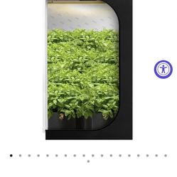 Gorilla Grow Tent 4x4