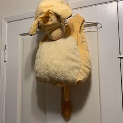 Disney Baby Simba Lion Costume