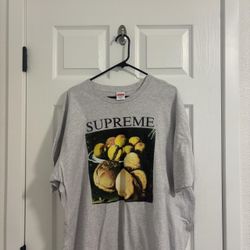 Supreme tee 