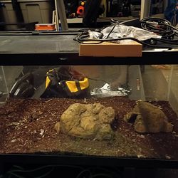 40 Gallon Terrarium