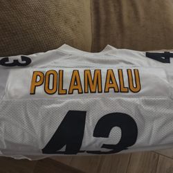 NFL Steelers Jersey #43