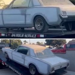 1966 Mustang - Rust Free