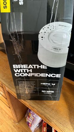 Air purifier fan