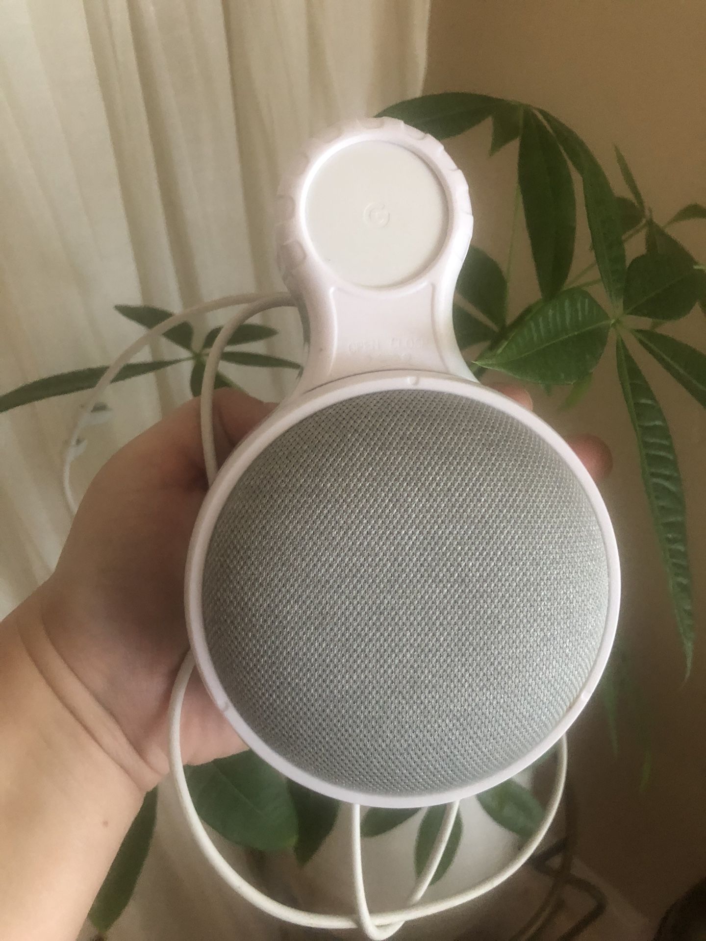 Google home With Plug In Mount