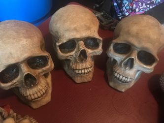 Skulls