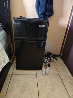 Minn fridge