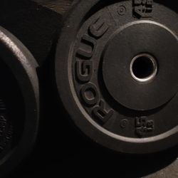 rogue 45lbs weights
