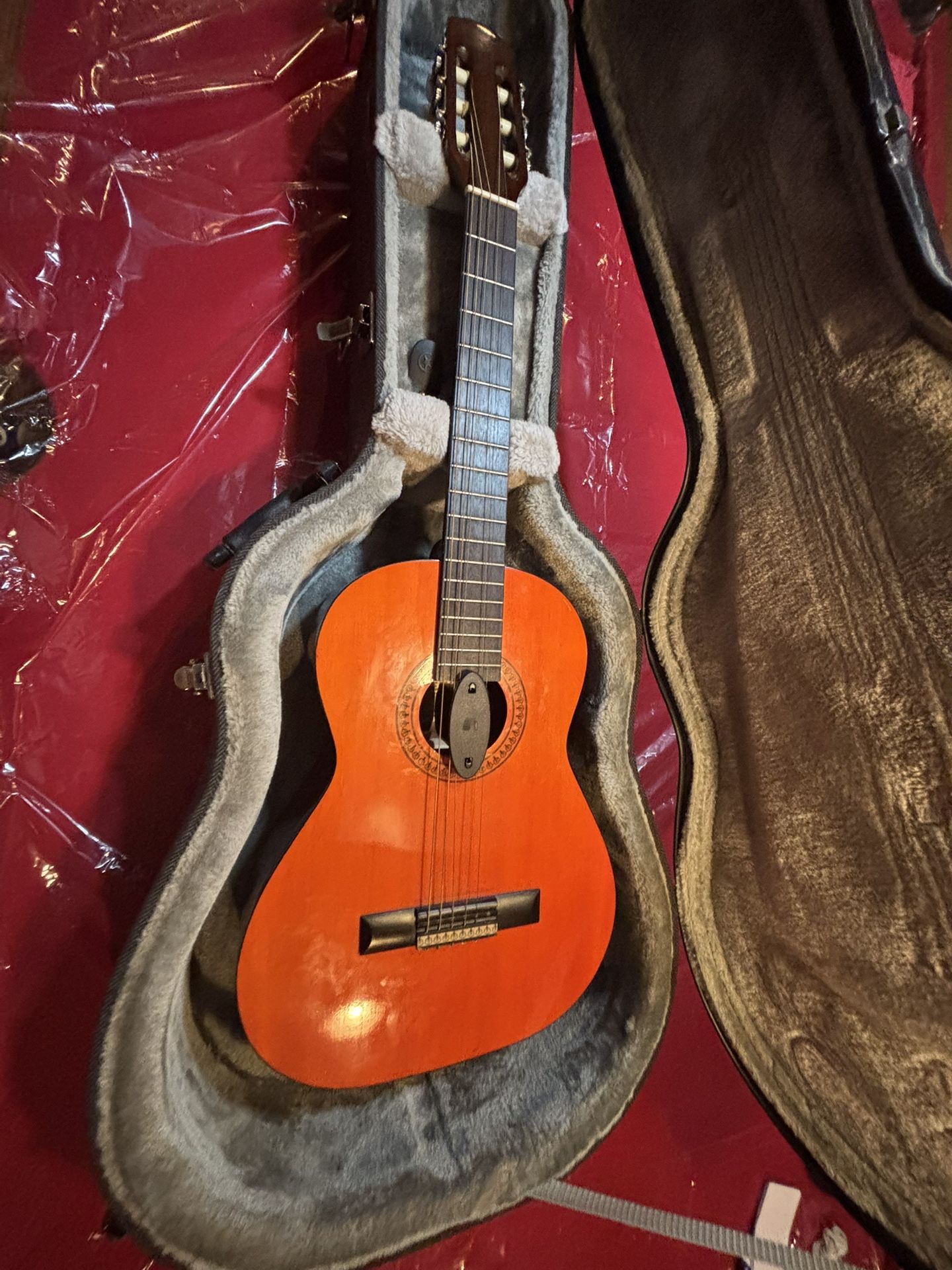 Guitar Case