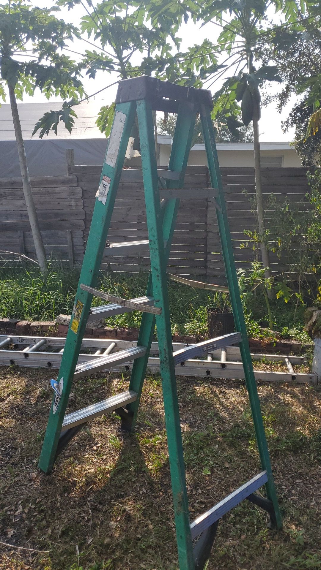 6 ft Ladder..escalera
