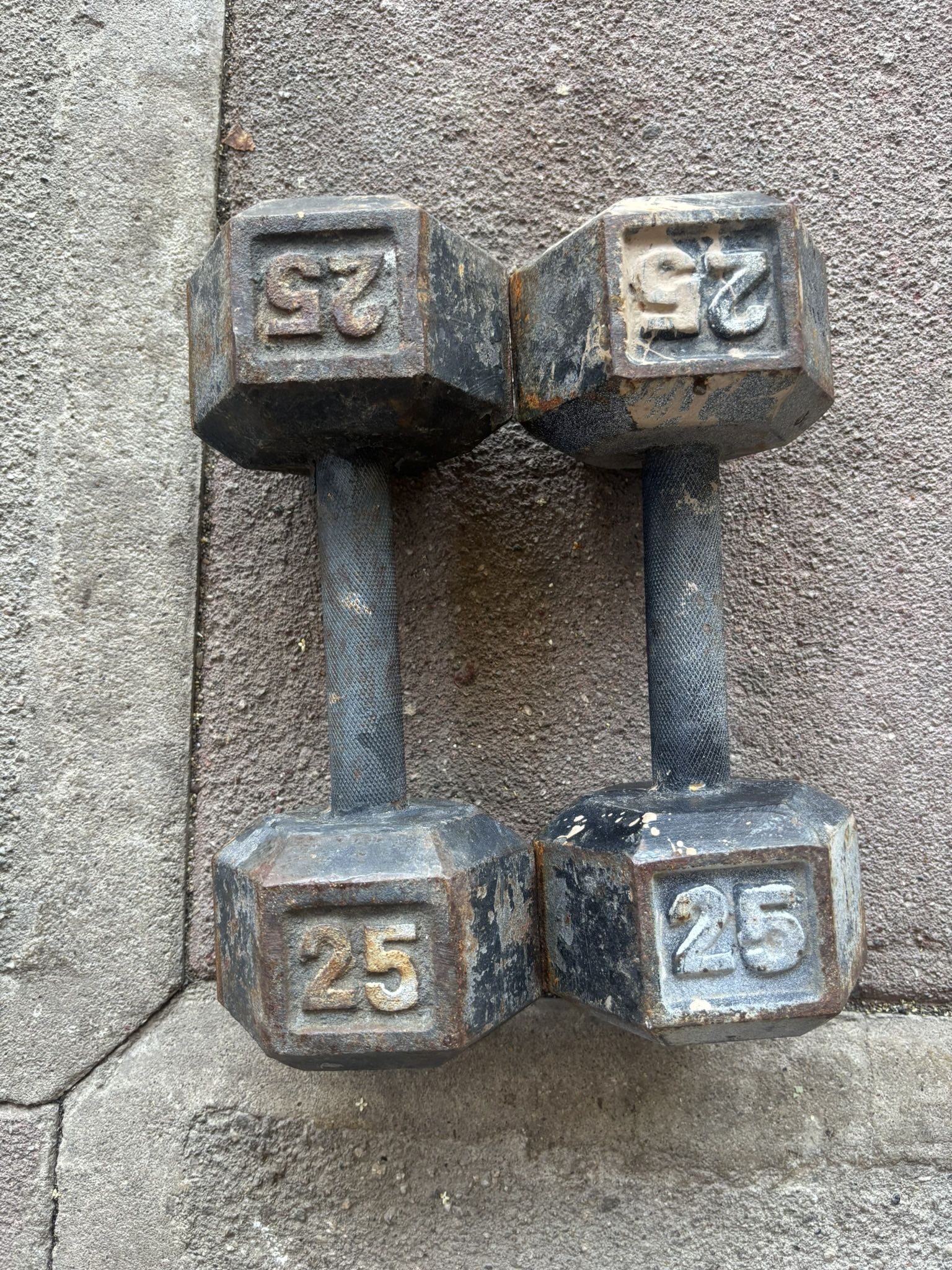 25lb Dumbbell Pair
