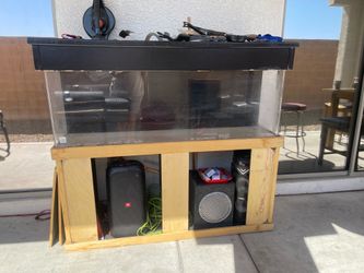 Fish Tank