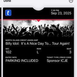 Billy Idol, It’s a Nice Day To… Tour Again 2025