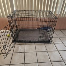 Dog Kennel 