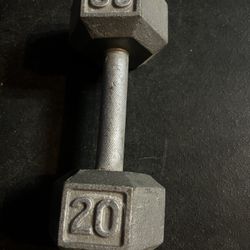 20 Lb Dumbbell