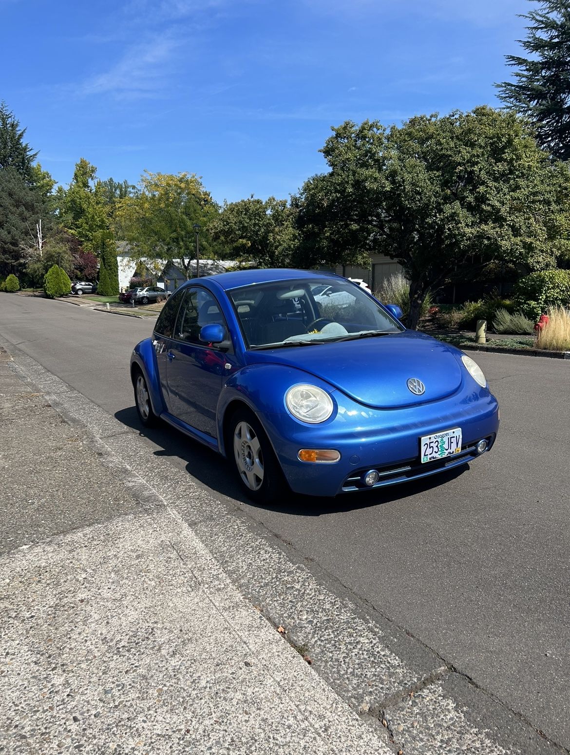 1999 Volkswagen Beetle