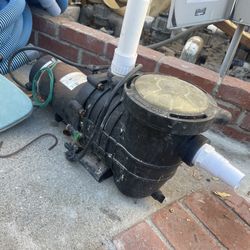 Pool Supplies