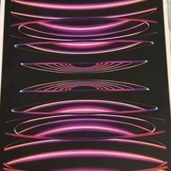 12.9 iPad Pro 6th Gen 256gb 