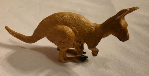 Outback little kangaroo
