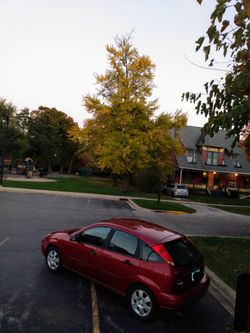 2002 Ford Focus ZX5 4D Hatch