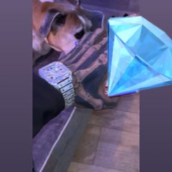 Bust Down Moissanite Watch