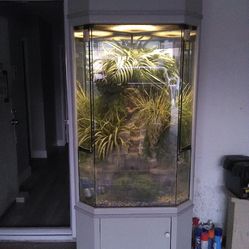 Fish Tank / Terrarium