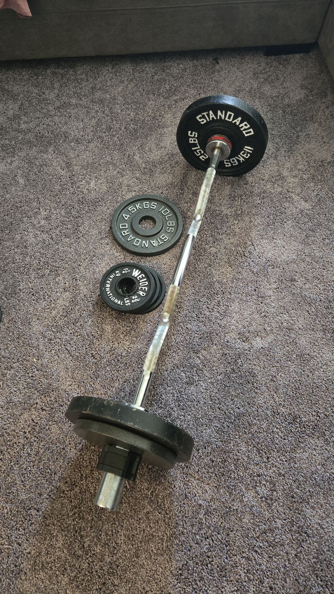 HEAVY DUTY CURL BAR WITH WEIGHTS