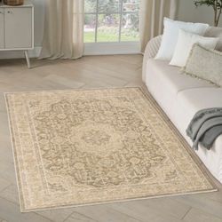SAVE $60 ON THIS BRAND NEW RUG!   Time to upgrade your floor from “sad and naked” to “elegant and sophisticated.”    This rug is soft enough to make y