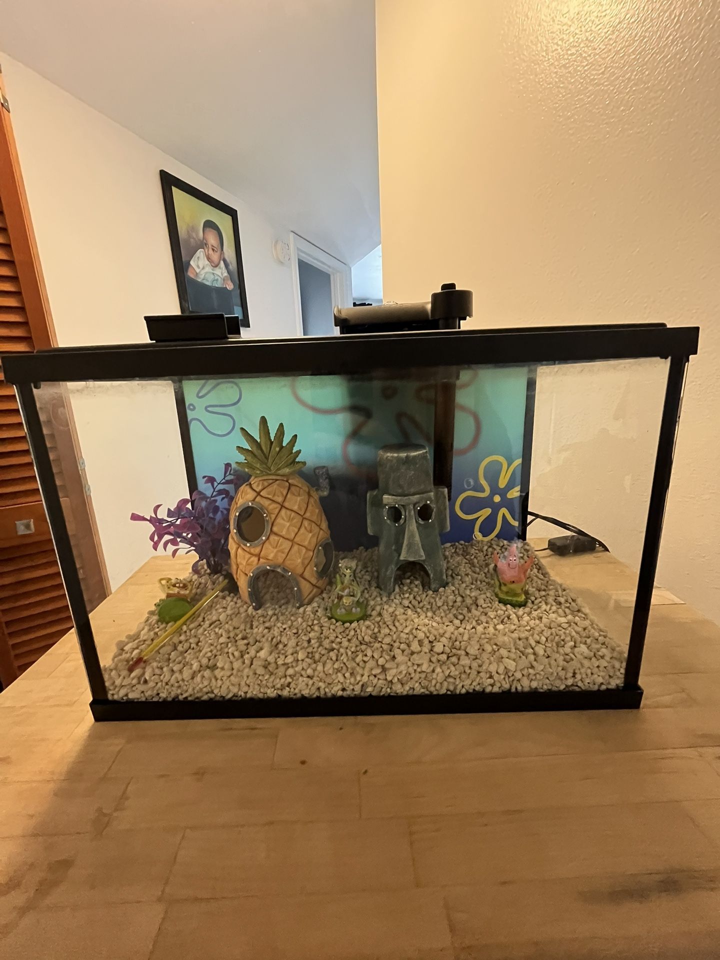 Sponge Bob Themed Fish Tank $80