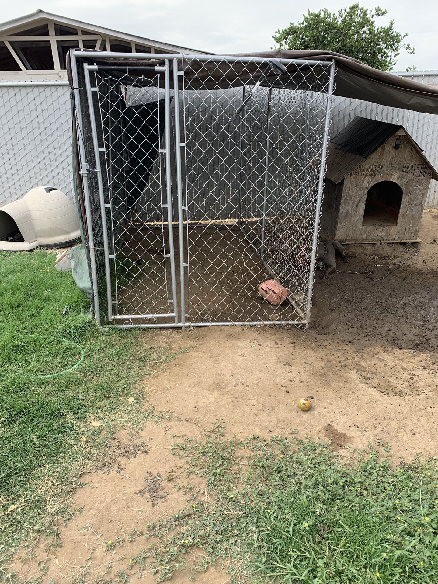 Dog Kennel 5x10 for Sale in Fresno, CA OfferUp