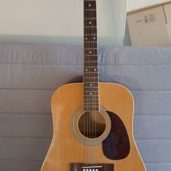 Burswood Acoustic Guitar 