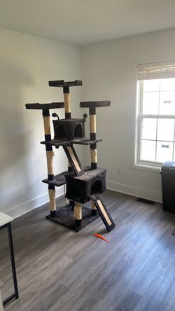 6 foot cat tree