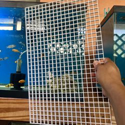 Fishtank Dividers 