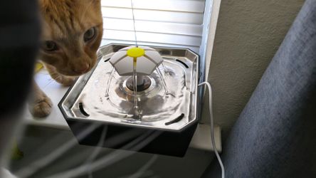 Cat Water Fountain - $10