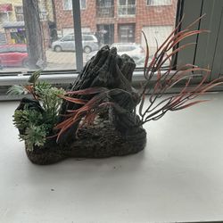 Fish Tank/ Aquarium 