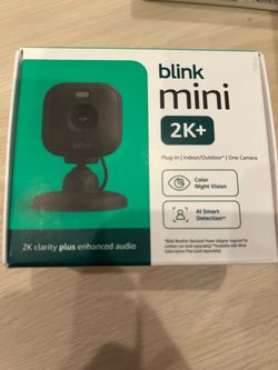 Blink mini camera