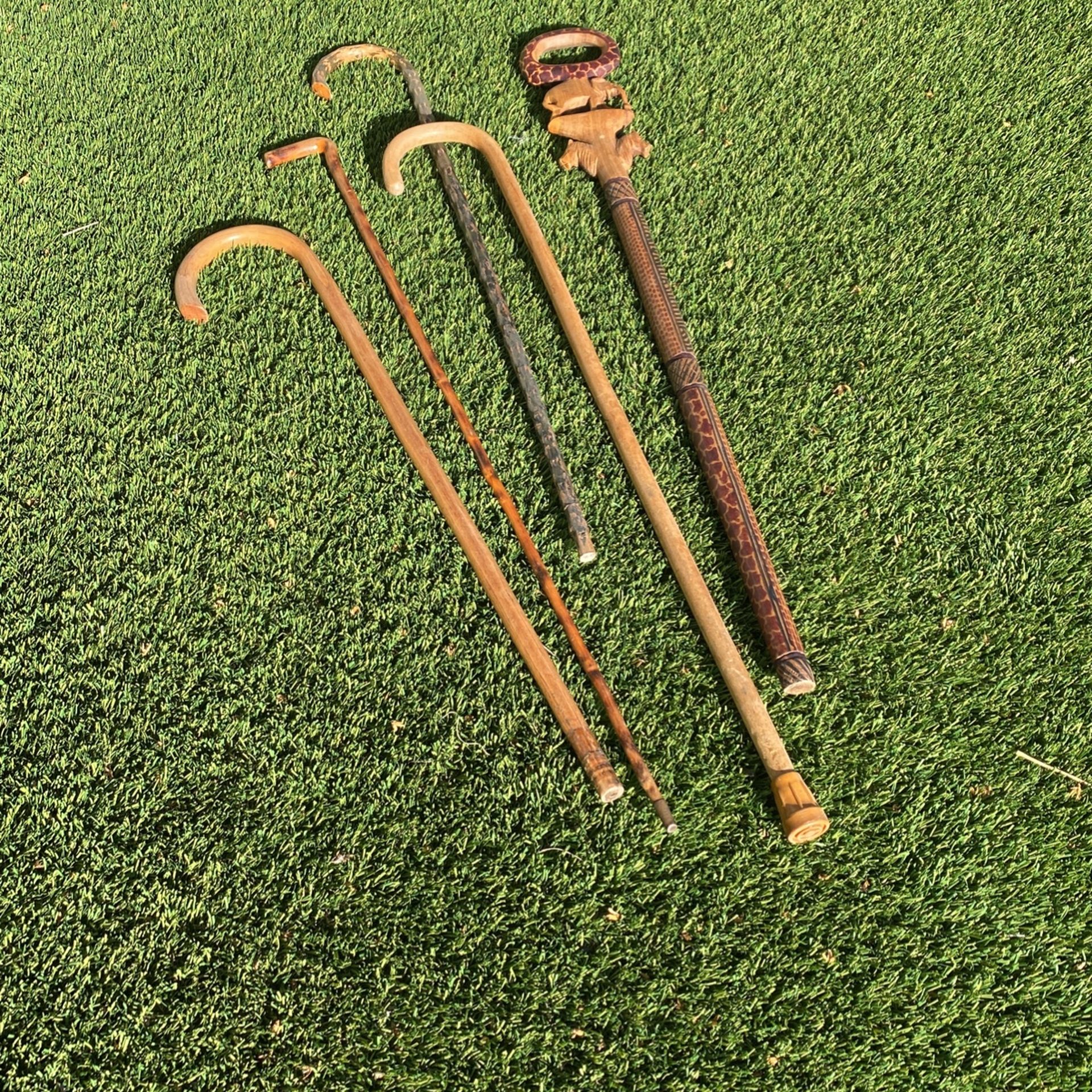 Canesfree for Sale in Murrieta, CA OfferUp