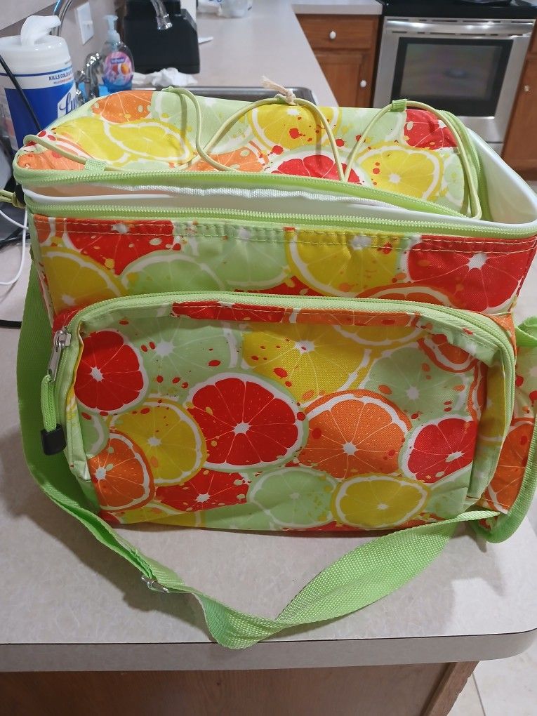 Insulated Cooler Bag Like New
