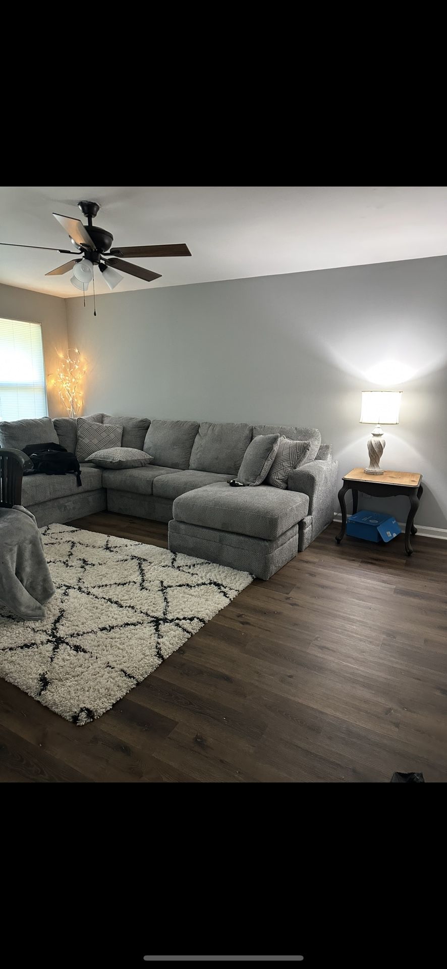 Gray Sectional Couch