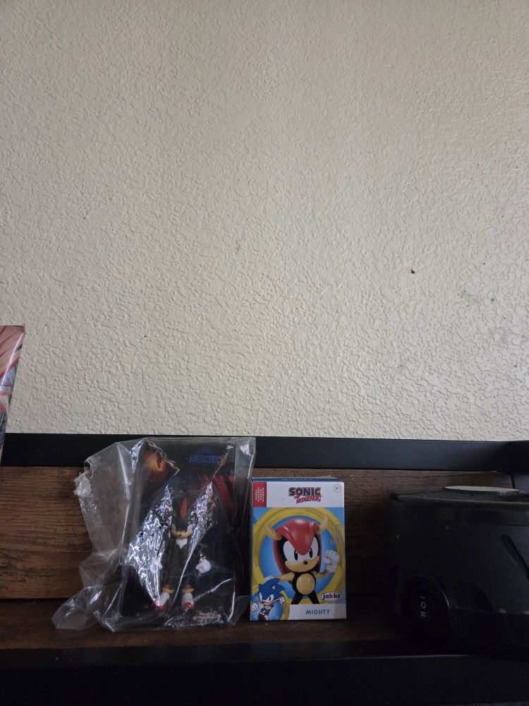 Shadow The Hedgehog And Mighty Figure
