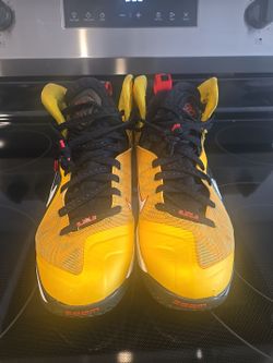 LeBron James taxi 7.5