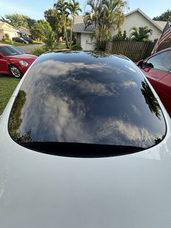 Blackout Windows (Tint)
