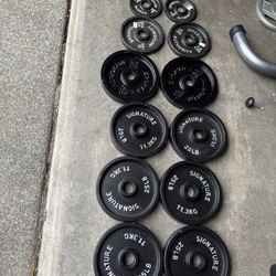 Weights Olympic 