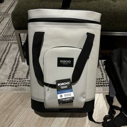 Igloo Backpack 