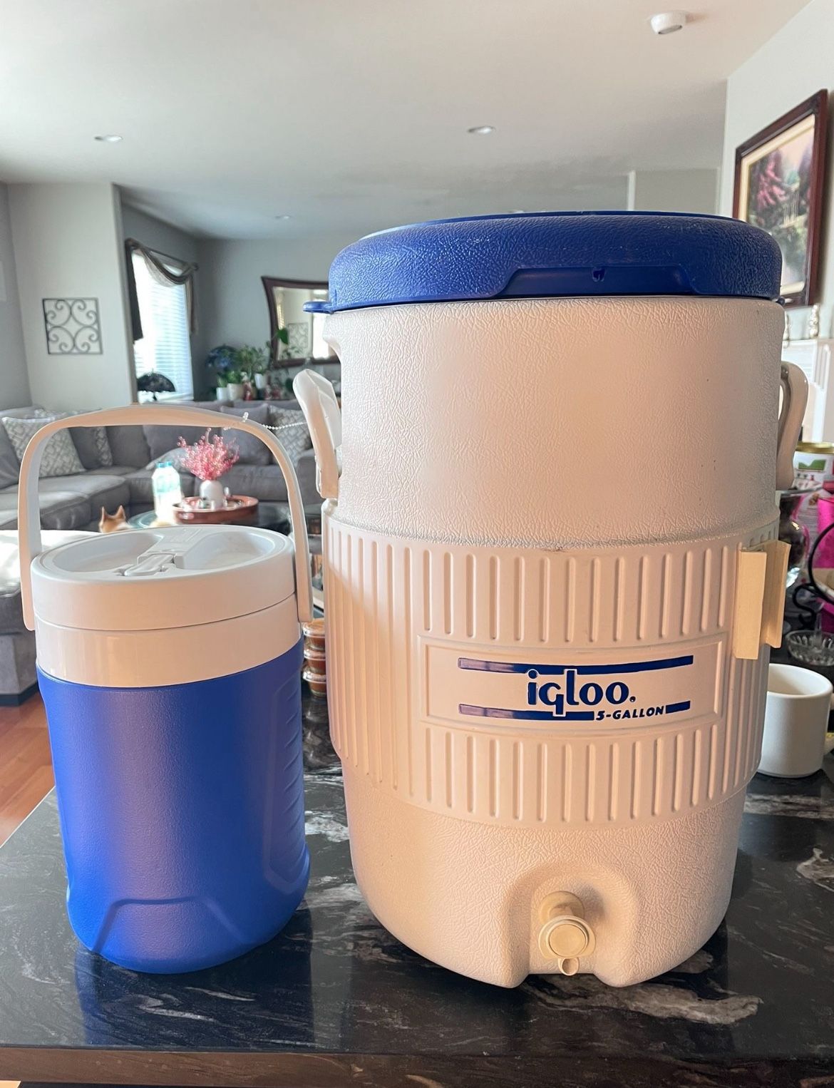 Igloo 5 Gallon and Portable 1 Gallon Drink Cooler.