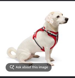 Blue. Brand smart dog harness XL with adjustable straps