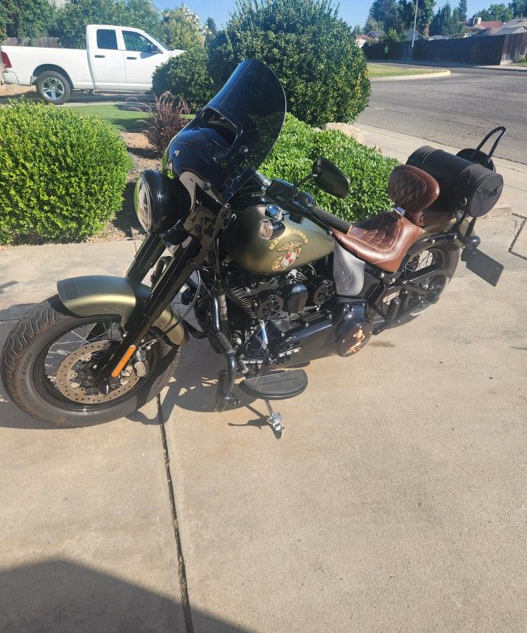 2016 HD FLS-S SCREAMING EAGLE