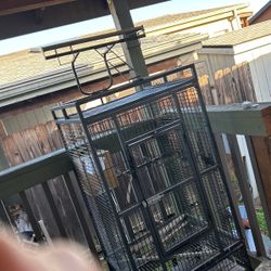 Bird Cage 