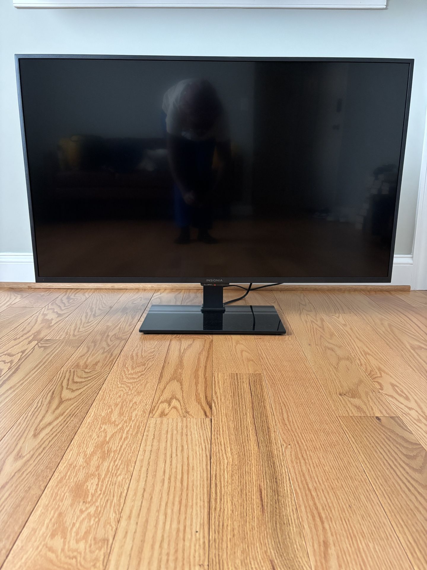 Insignia 43” TV & TV Mount