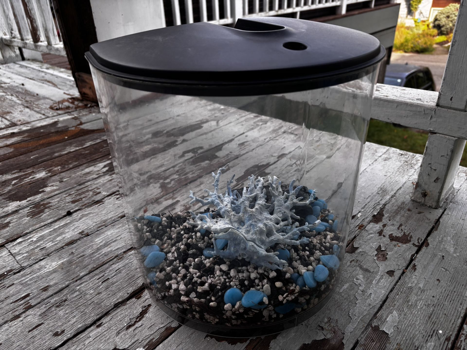 Small Fish Tank And Accessories